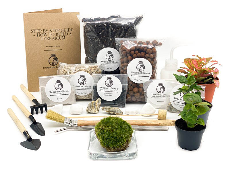 Medium DIY Terrarium Starter Kit With Optional 3 Plants and Etsy
