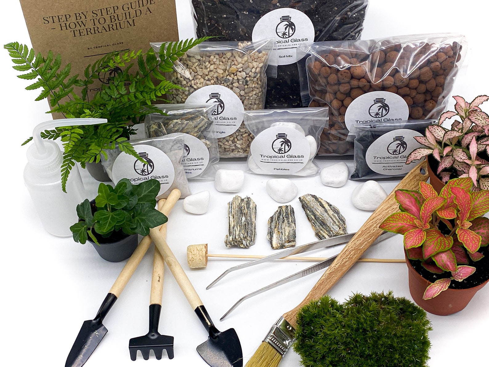 Large DIY Terrarium Starter Kit With Optional 4 Plants and Etsy