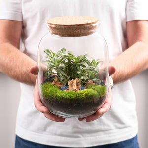 closed terrarium