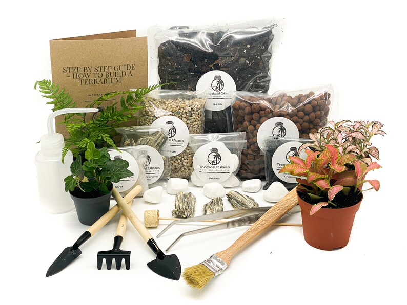 Large DIY Terrarium Starter Kit With Optional 4 Plants and Etsy