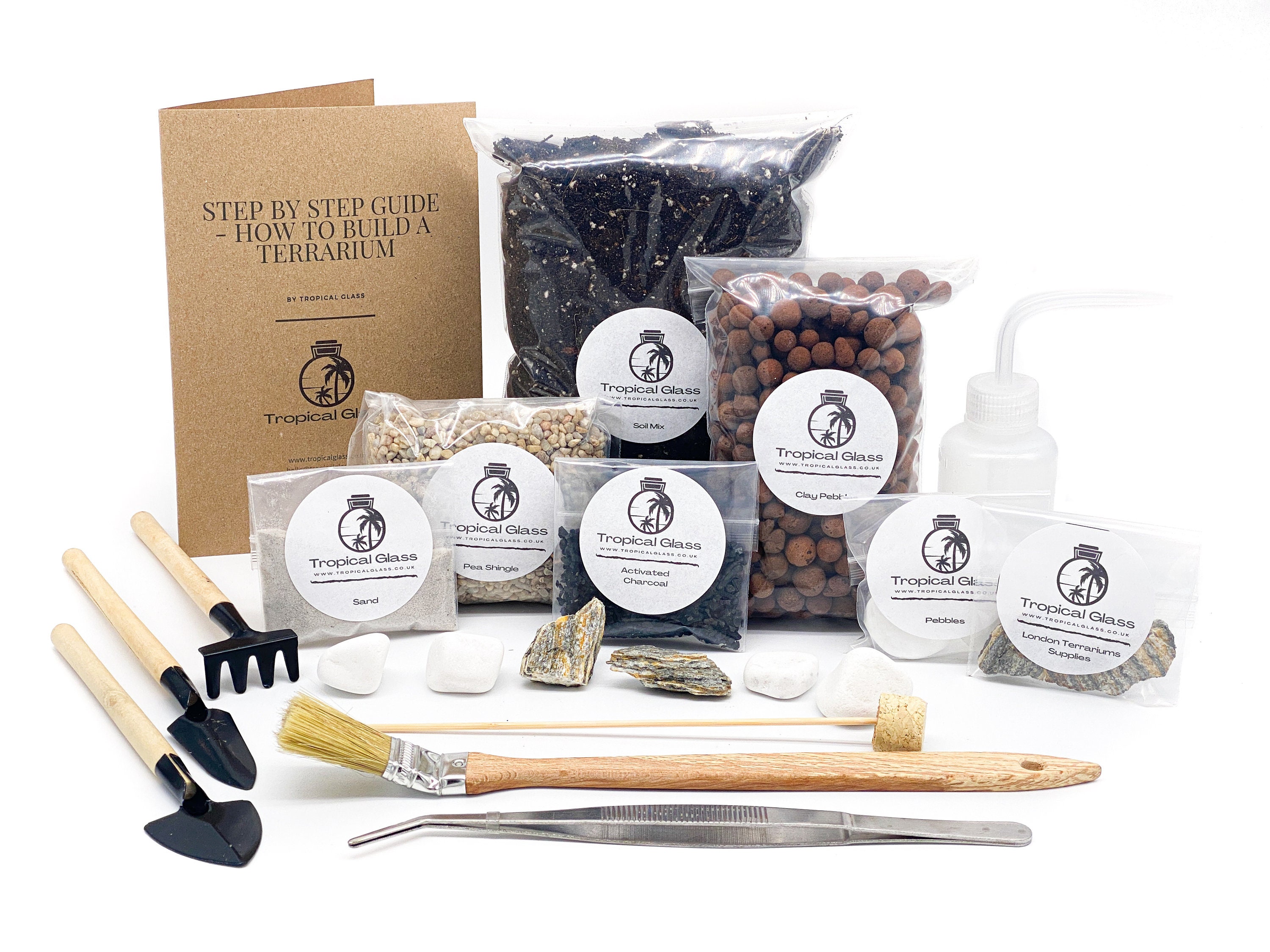 Closed DIY Terrarium Kit 25 cm with Fittonia and Moss DIY Etsy