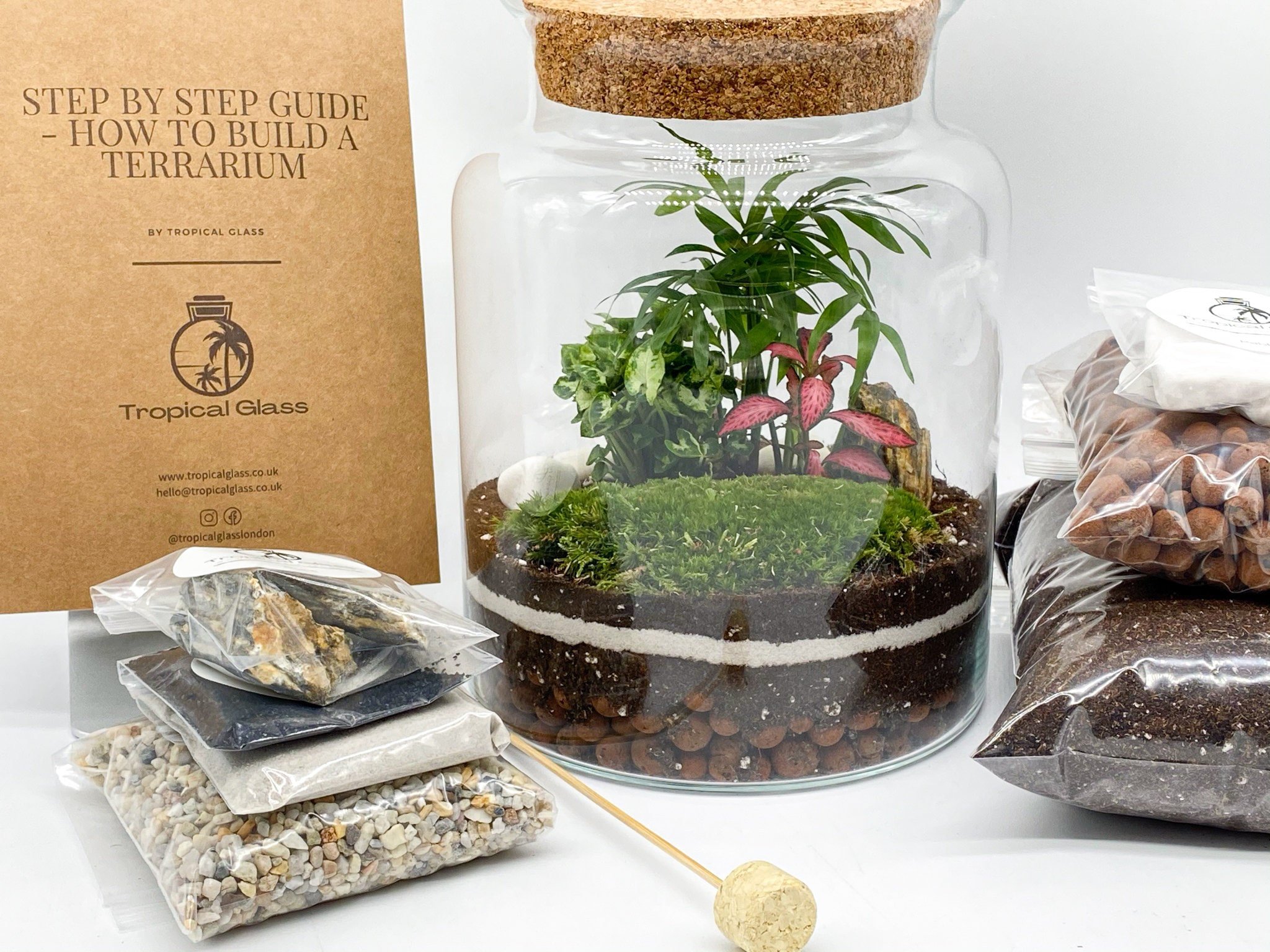 Closed DIY Terrarium Kit with Container Plants and | Etsy