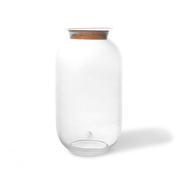 Glass Terrarium Jar 42 cm with Cork Lid | Tall Container | Ecosystem | Bottle Garden Terrarium | Handmade | Closed Vase