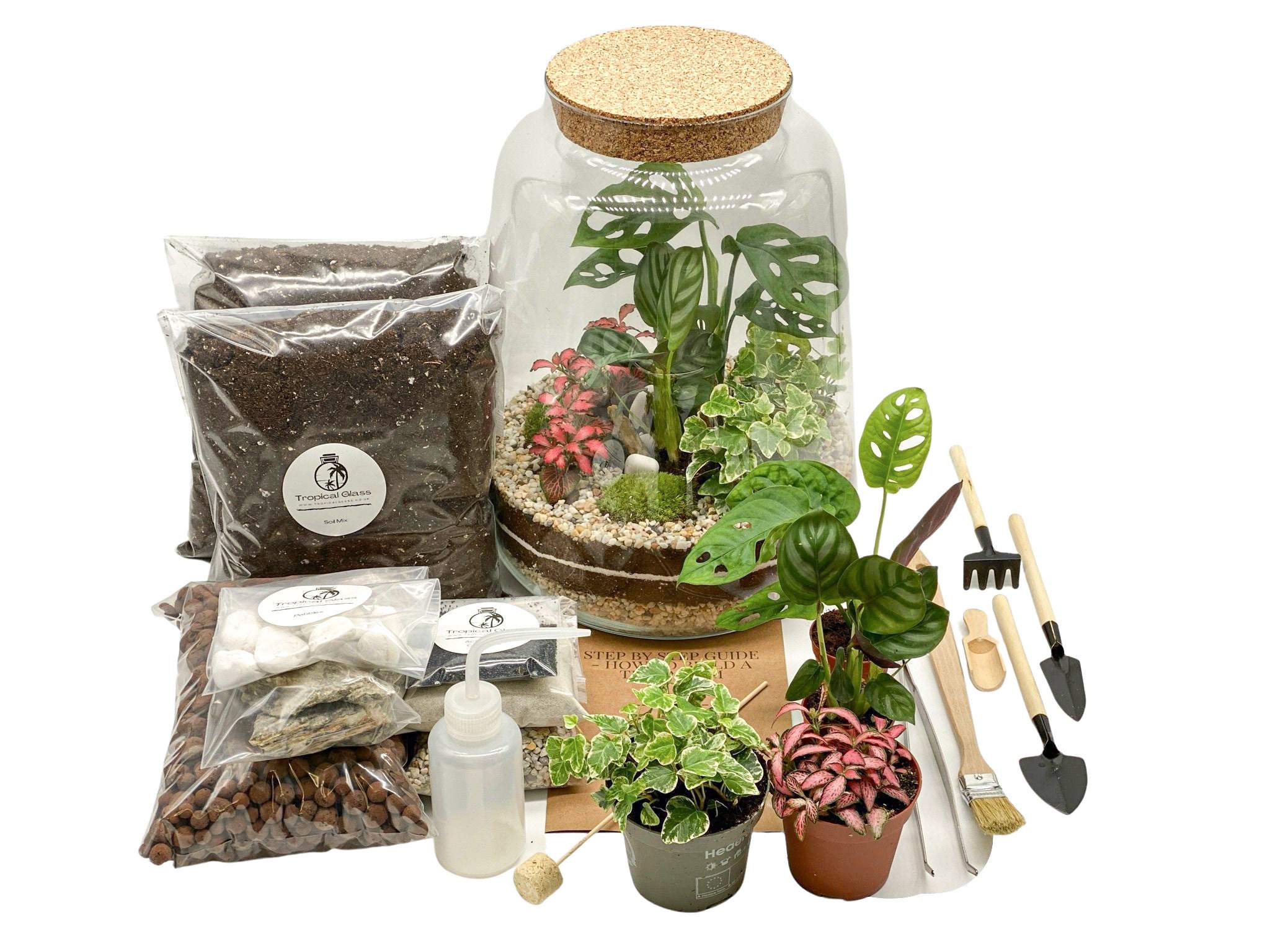 Closed DIY Terrarium Kit with 35cm Jar Plants and Decorations Etsy