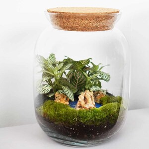 resin terrarium