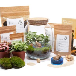 May include: A terrarium kit containing a glass jar, soil, moss, plants, and instructions. The kit provides all the necessary components to create a small, self-contained ecosystem.