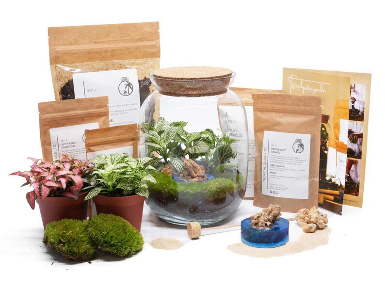 May include: A terrarium kit containing a glass jar, soil, moss, plants, and instructions. The kit provides all the necessary components to create a small, self-contained ecosystem.