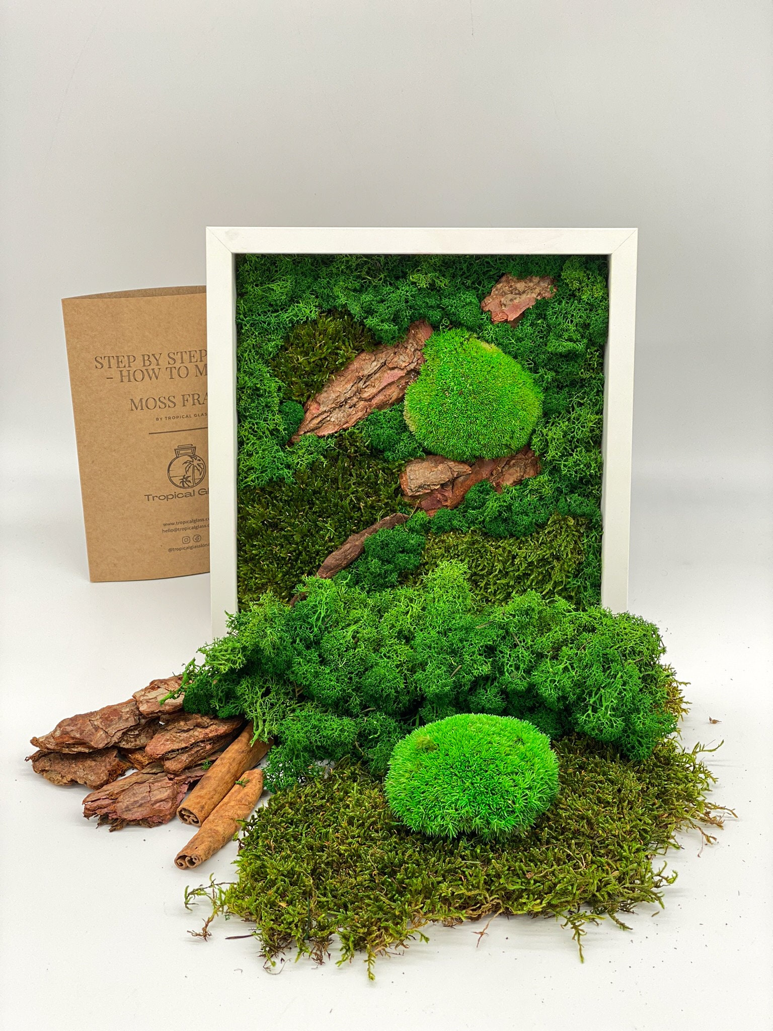 DIY Moss Art Large Moss Wall Art Moss Art Display Etsy UK