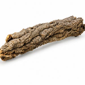 May include: A single piece of natural cork bark with a rough, deeply textured, and rugged surface. The exterior displays a variegated brown and grey colour palette with deep ridges, crevices, and a porous, organic appearance throughout the length.