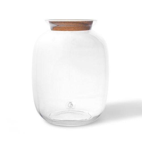 Glass Terrarium 32 Cm With Cork Lid Keg Shape Large Vase Etsy