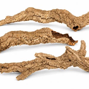 May include: Three pieces of natural cork bark, each with a distinct, rugged, and textured surface. These light brown, organic-shaped segments feature deep ridges, crevices, and irregular contours, showcasing the raw, woody appearance of cork.