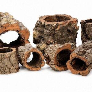 May include: A collection of six natural cork bark tubes and hollow logs with rough, textured grey-brown outer surfaces and smooth, reddish-brown inner cavities. These cylindrical pieces vary in size and shape, featuring organic, irregular edges.