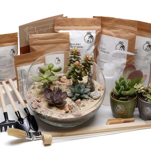 DIY Plant Terrarium Kit &#39;Acapulco&#39; | 16 cm Angled Bowl | Succulent Terrarium Gift | Desert Terrarium | Small Garden | Complete Starter Kit
