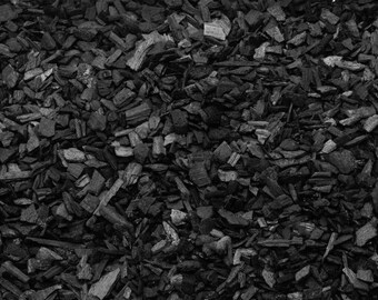 Activated Charcoal Carbon for Terrariums, Plants, Mossariums | Terrarium Supplies | Filter Medium Terrarium Kits and Tools