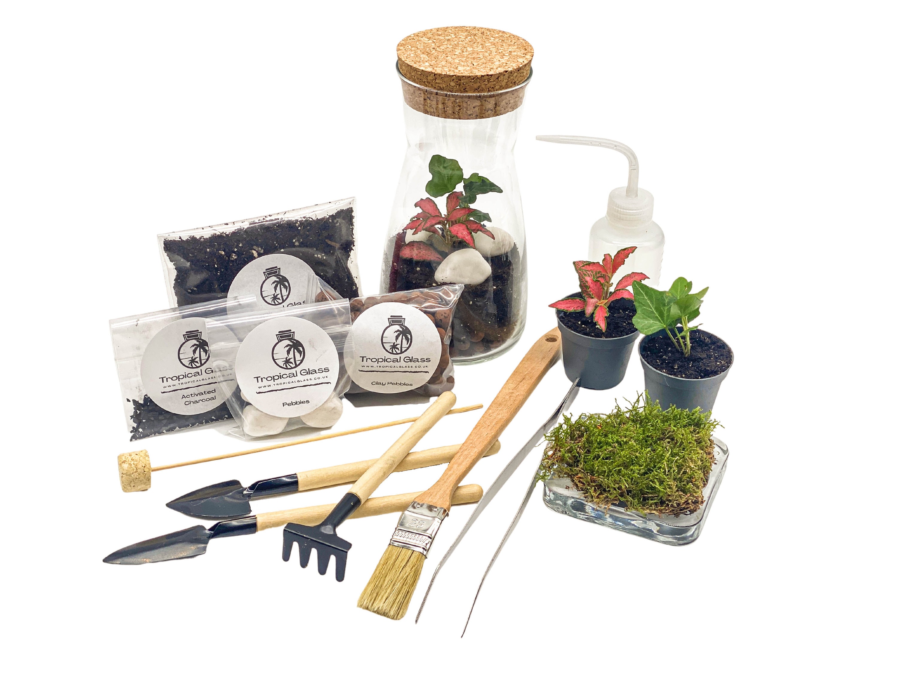 DIY Terrarium Kit With Jar and Plants 'porto' Small Etsy UK