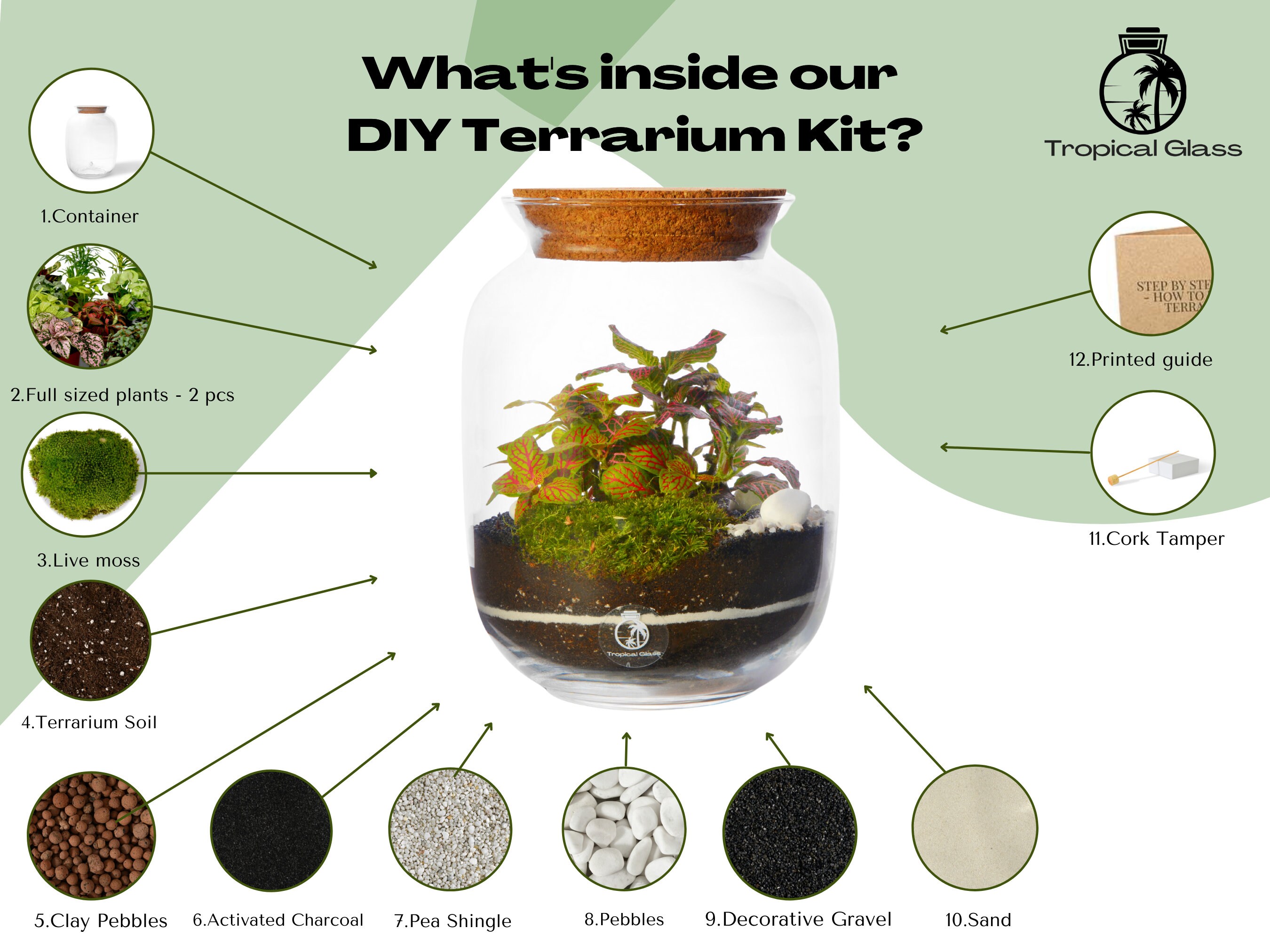 Closed DIY Terrarium Kit With 22 Cm Container and Plants - Etsy UK