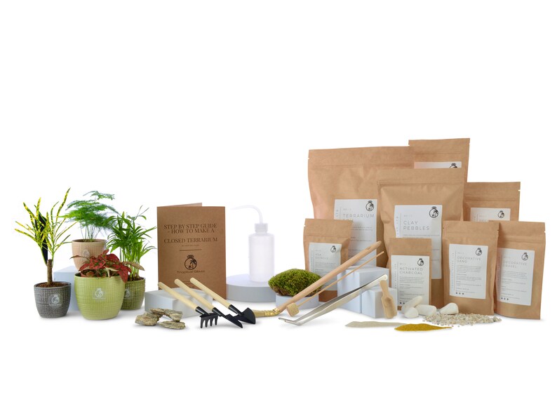 K&ouml;nnte beinhalten: Ein Terrarien-Set mit allem, was Sie brauchen, um Ihr eigenes geschlossenes Terrarium zu erstellen. Das Set enth&auml;lt eine Vielzahl von Pflanzen, Erde, Moos, Steine und Werkzeuge. Das Set enth&auml;lt auch ein B&uuml;chlein mit Schritt-f&uuml;r-Schritt-Anleitungen zur Herstellung eines Terrariums.