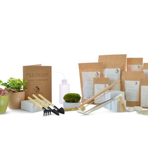 Small DIY Terrarium Starter Kit with Optional 2 Plants and Moss | Closed Terrarium Starter Kit  | Perfect Gift Idea