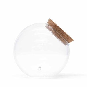 Terrarium Glass H: 19 cm with Side Opening and Cork Lid | Closed Ecosystem | Terrarium Jar | Closed Terrarium Glass with Optional Plants