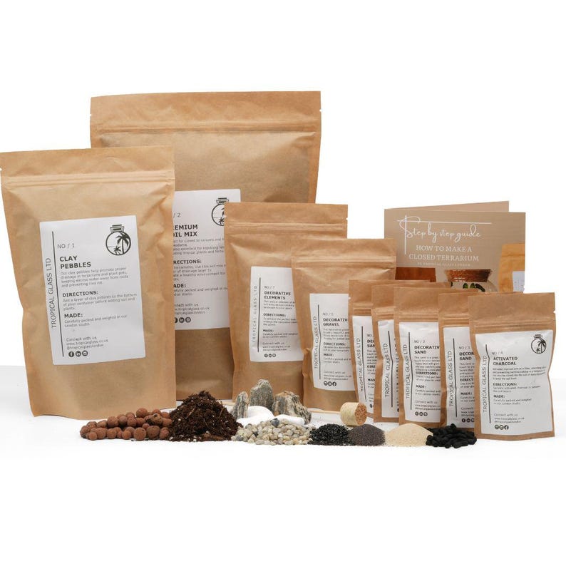 Large Bonsai Terrarium Closed Terrarium Orb Beginners Closed Terrarium