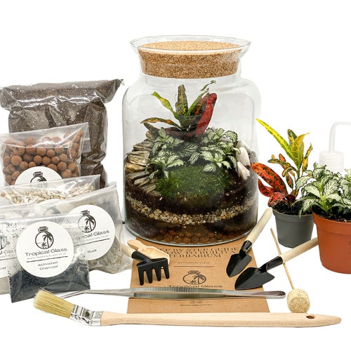 DIY Terrarium Kit Plants & Container Optional Etsy UK