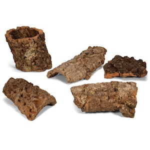 May include: Five pieces of natural cork bark in various shapes and sizes. The cork has a rough, textured surface with shades of brown and tan. One piece is cylindrical, while others are flat or curved, suitable for terrarium decor.