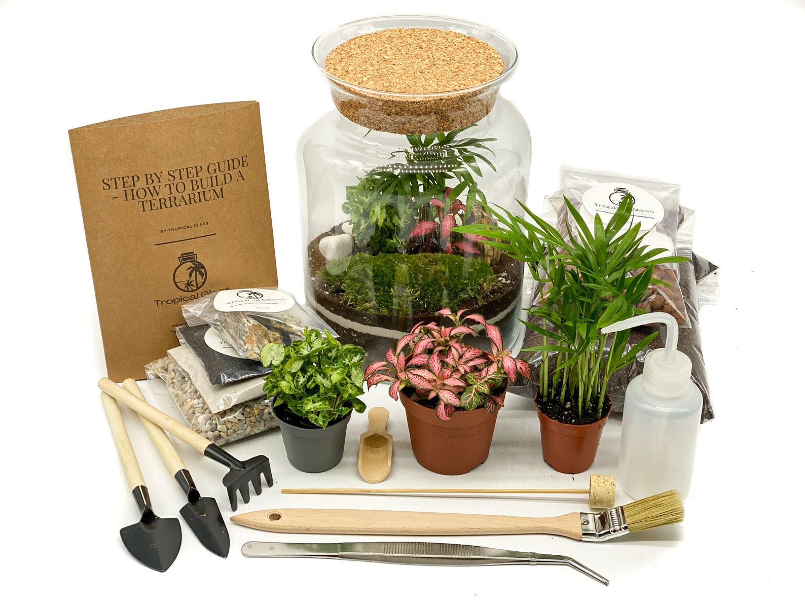 Closed DIY Terrarium Kit with Container Plants and Etsy