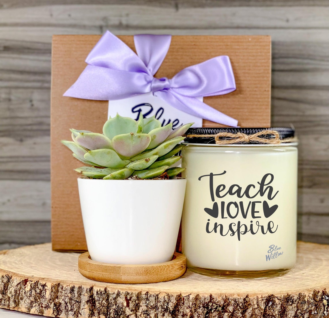 Teacher Gift Succulent Gift For Teacher Appreciation Gift Etsy