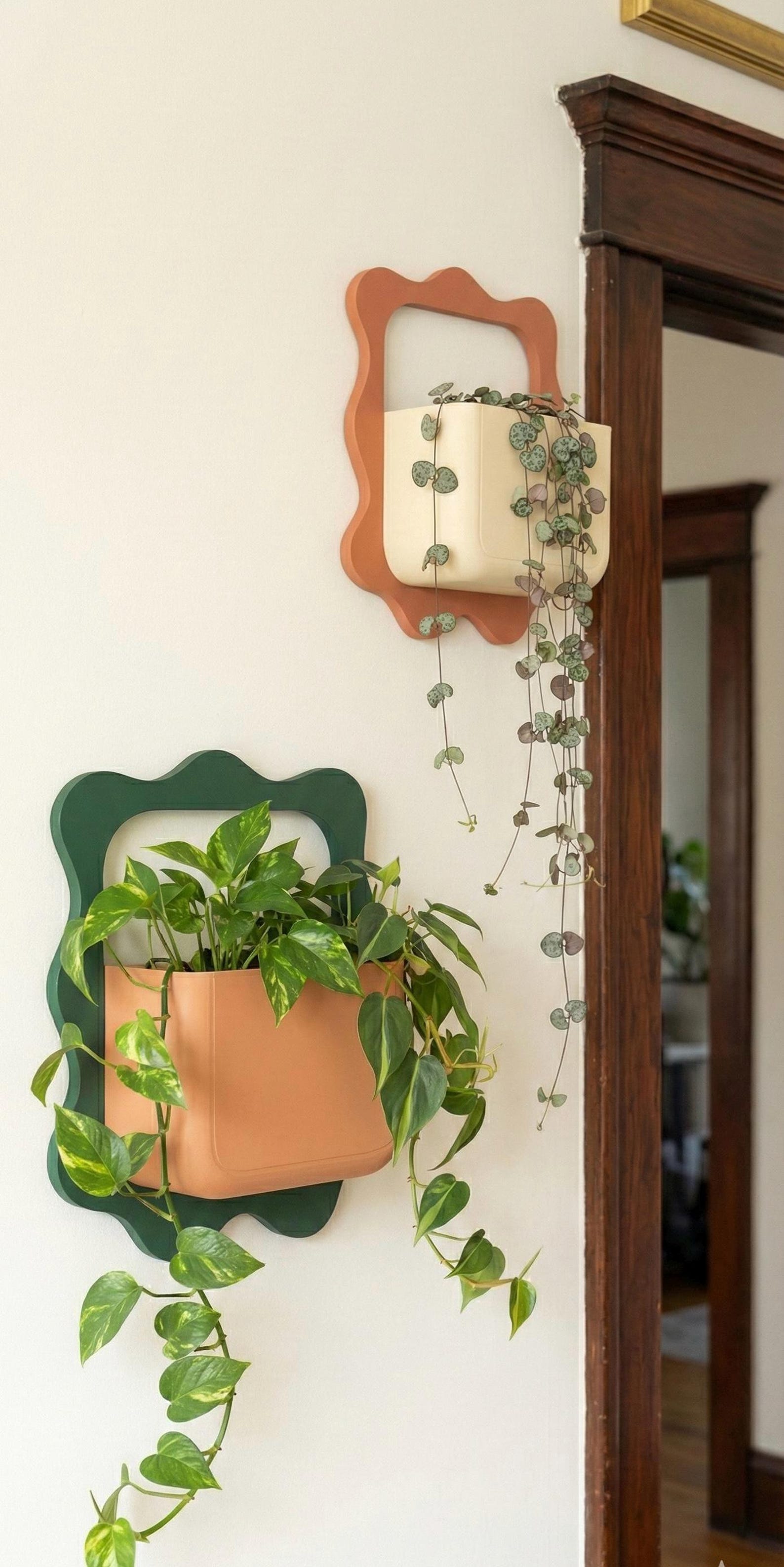 Boho Wall Planter: A Touch of Nature, Elevated