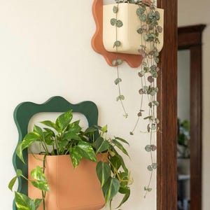 Boho Wall Planter: A Touch of Nature, Elevated