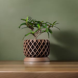The Torio - Unique Geometric 3D Printed Planter with Drainage
