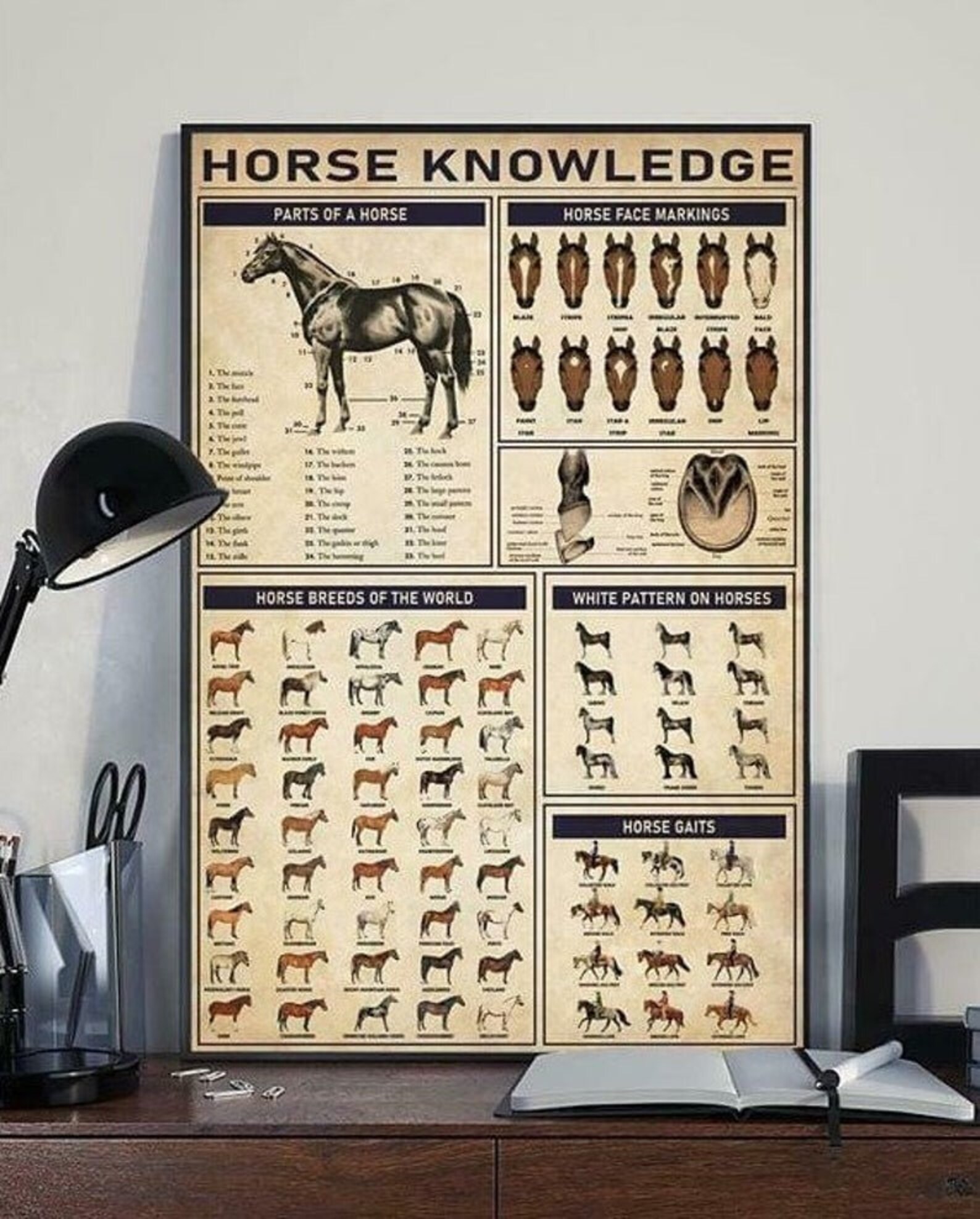 Horse Knowledge Poster Vintage Poster Horse Decor Poster Etsy