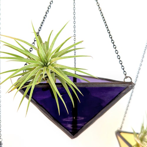 Air Plant Holder Stained Glass Sun Catcher Etsy