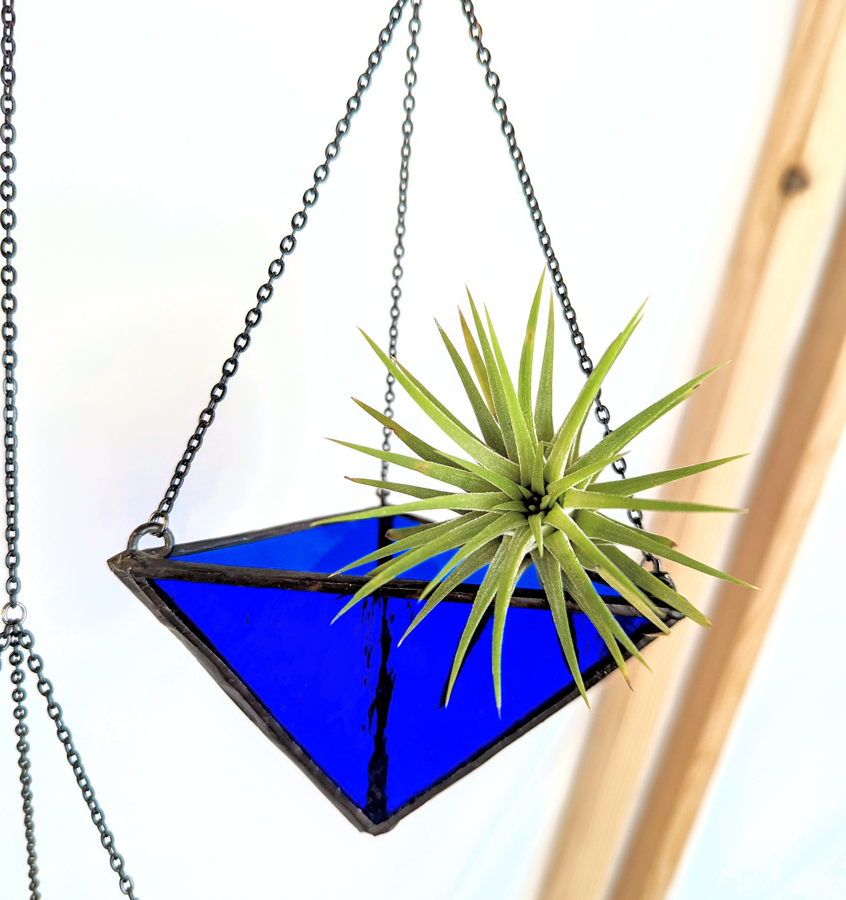 Stained Glass Air Plant Holder air Plant Included Etsy