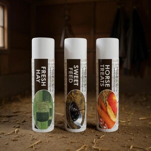 Horse Lover’s Lip Balm Trio – Horse Treats, Sweet Feed, Fresh Hay – Handmade Natural Chapstick – Choose Your Set – Novelty Gift