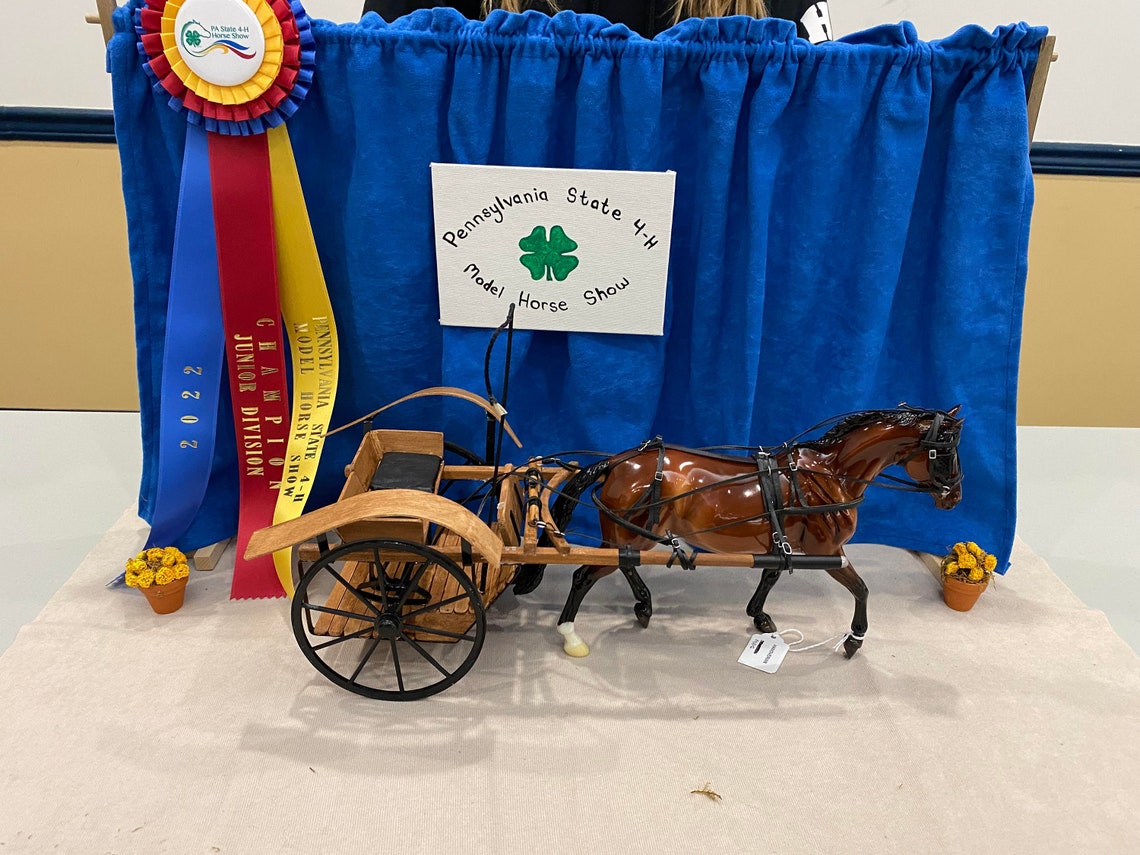Pattern to make a model horse cart. Meadowbrook Pattern. Etsy España