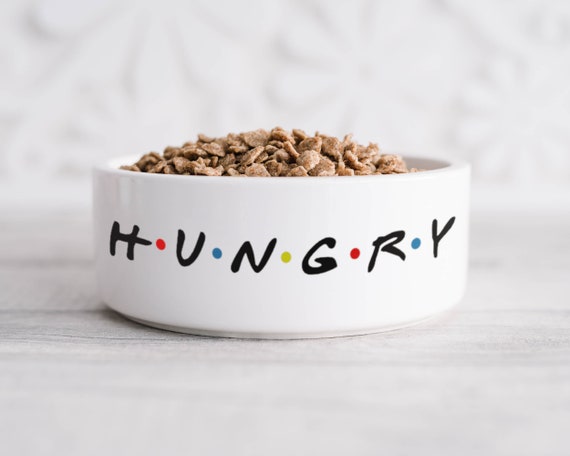 Hungry dog bowl cheap