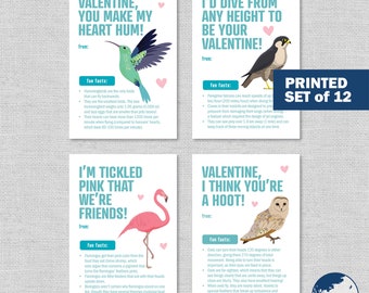 printed BIRD FACTS Valentine's Day cards . kids valentines . fun facts . hummingbird, peregrine falcon, flamingo, owl . educational