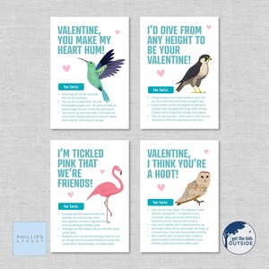 afdrukbare VOGELfeiten Valentijnsdagkaarten. Valentijnskaarten voor kinderen. leuke weetjes. kolibrie, slechtvalk, flamingo, uil. leerzaam
