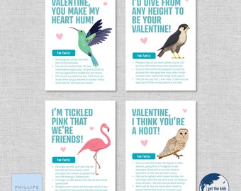 printable BIRD FACTS Valentine's Day cards . kids valentines . fun facts . hummingbird, peregrine falcon, flamingo, owl . educational