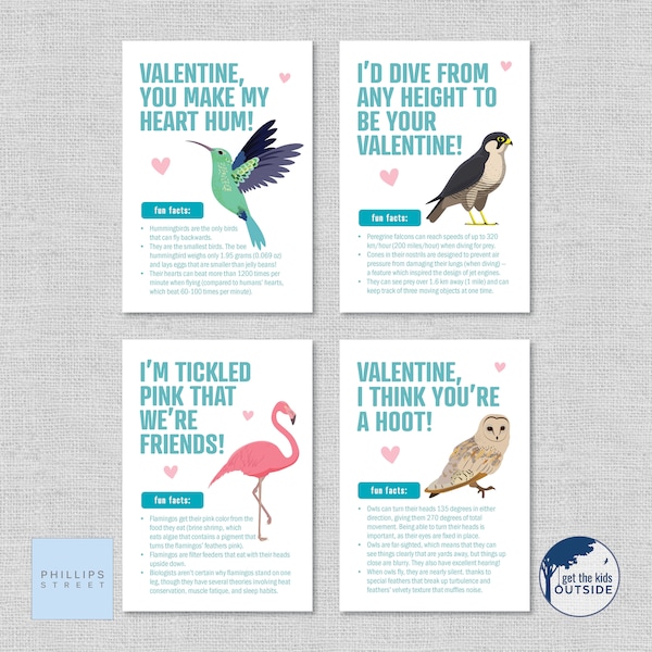 printable BIRD FACTS Valentine's Day cards . kids valentines . fun facts . hummingbird, peregrine falcon, flamingo, owl . educational