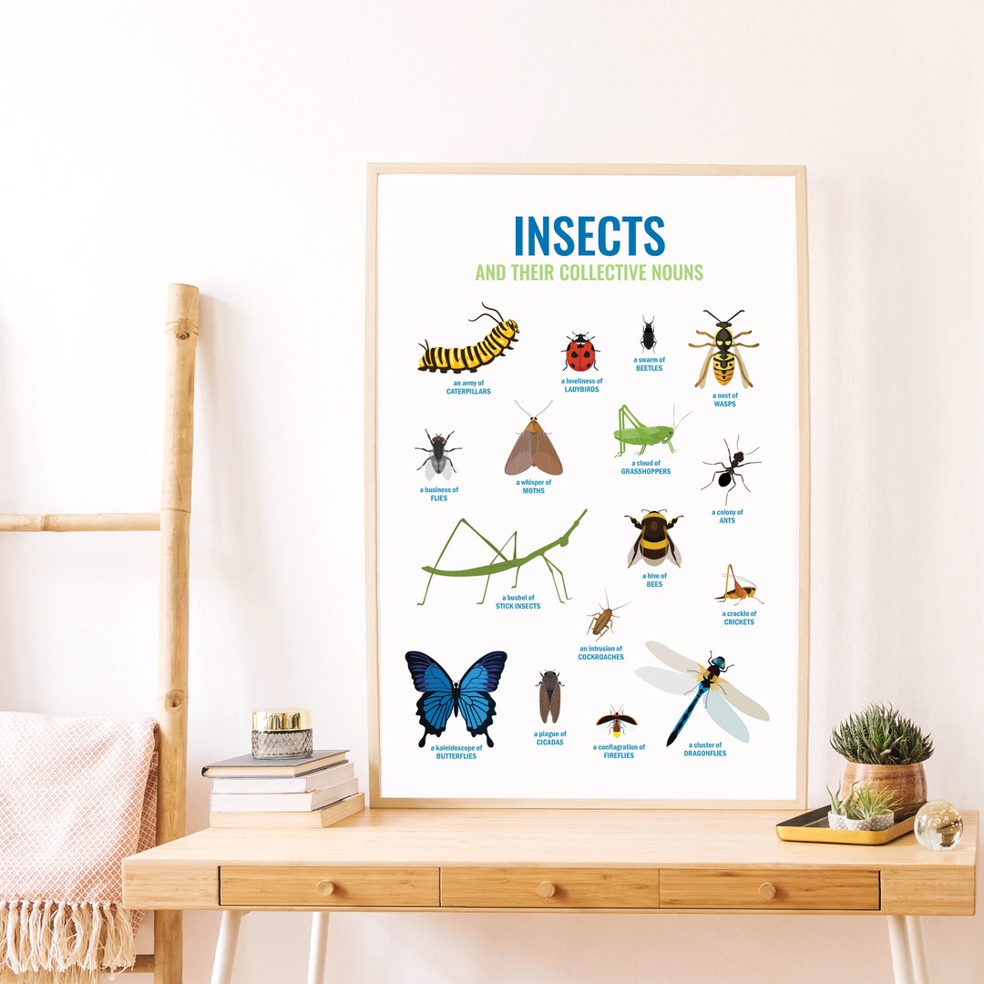 Collective Nouns INSECTS Wall Art Nature Art Nursery Etsy