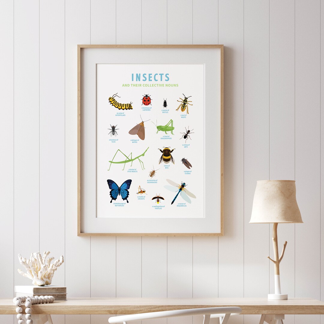 Insect Poster Collective Nouns Wall Art, Nature Art, Nursery Art