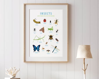 Póster de sustantivos colectivos de insectos – Arte de la naturaleza, lámina para imprimir para la educación en casa (descarga digital)