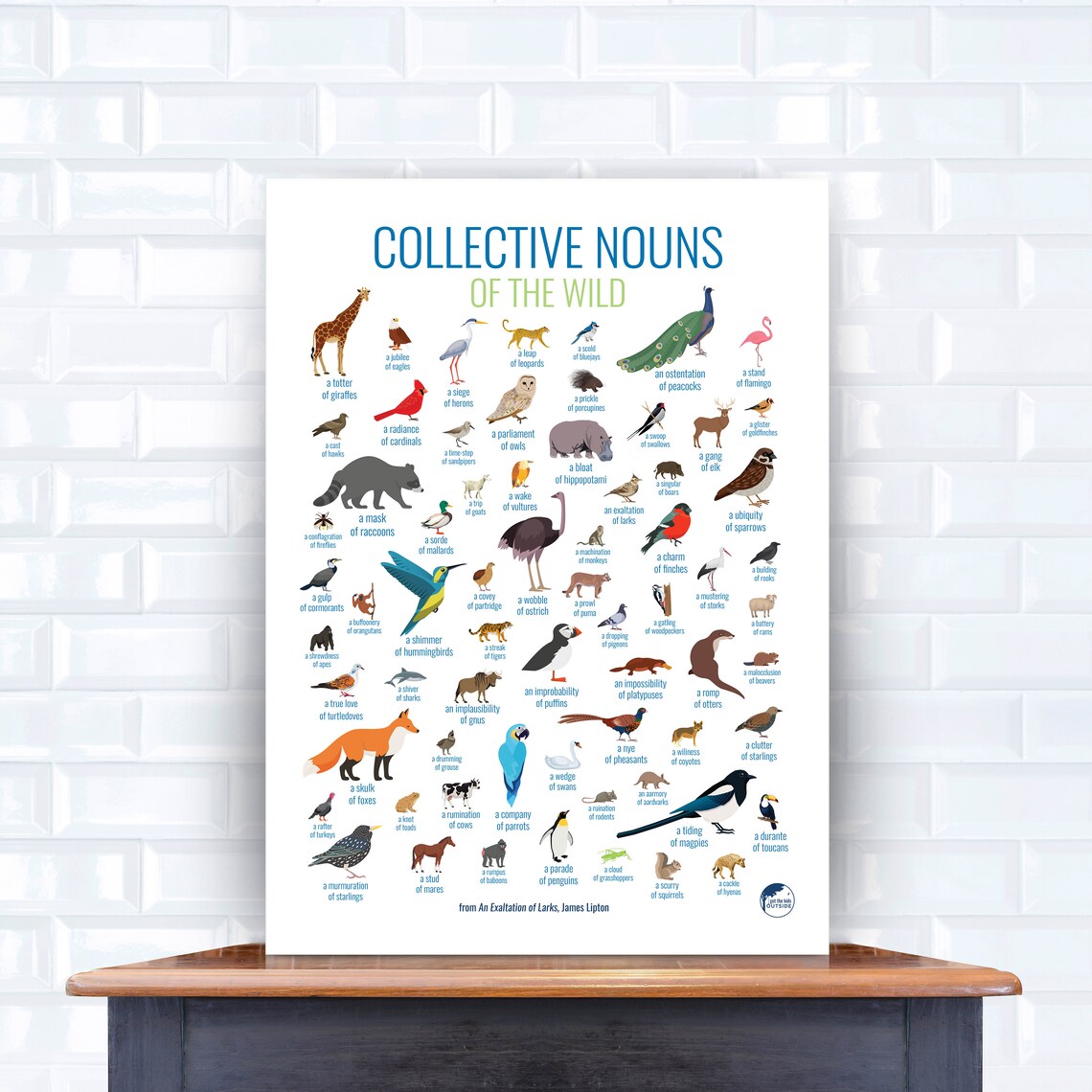 Collective Nouns Animals & Birds Wall Art Nature Art Etsy Canada