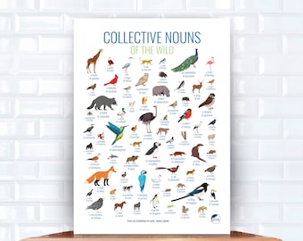 Póster de animales con sustantivos colectivos – Arte educativo sobre la naturaleza (Descarga digital)