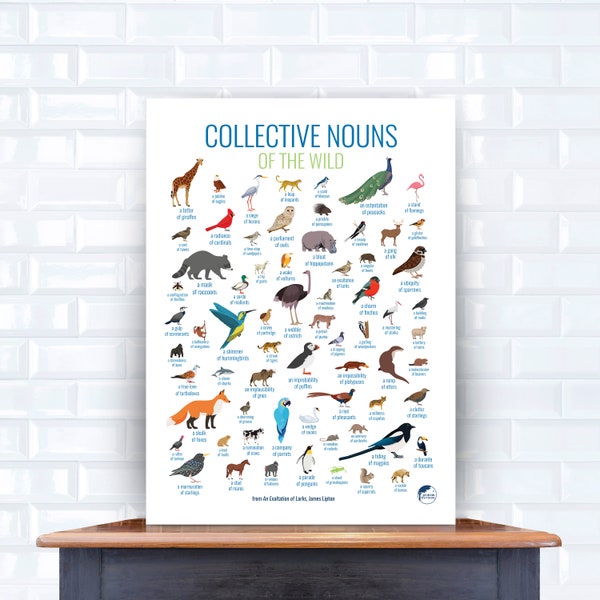 collective nouns - animals & birds - wall art - nature art - nursery art - animal poster - instant download