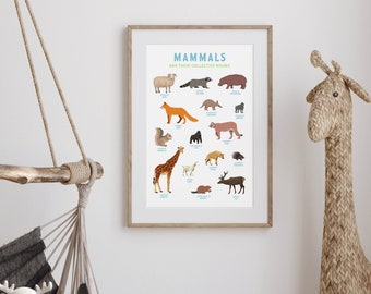 mammals poster - collective nouns; wall art, nature art, nursery art, animal poster, homeschooling - instant download