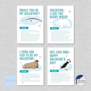 imprimable ANIMAL DE L'ARCTIQUE Fait amusant Saint-Valentin | Téléchargement numérique | Cartes éducatives de la Saint-Valentin | Narval Ours polaire Macareux