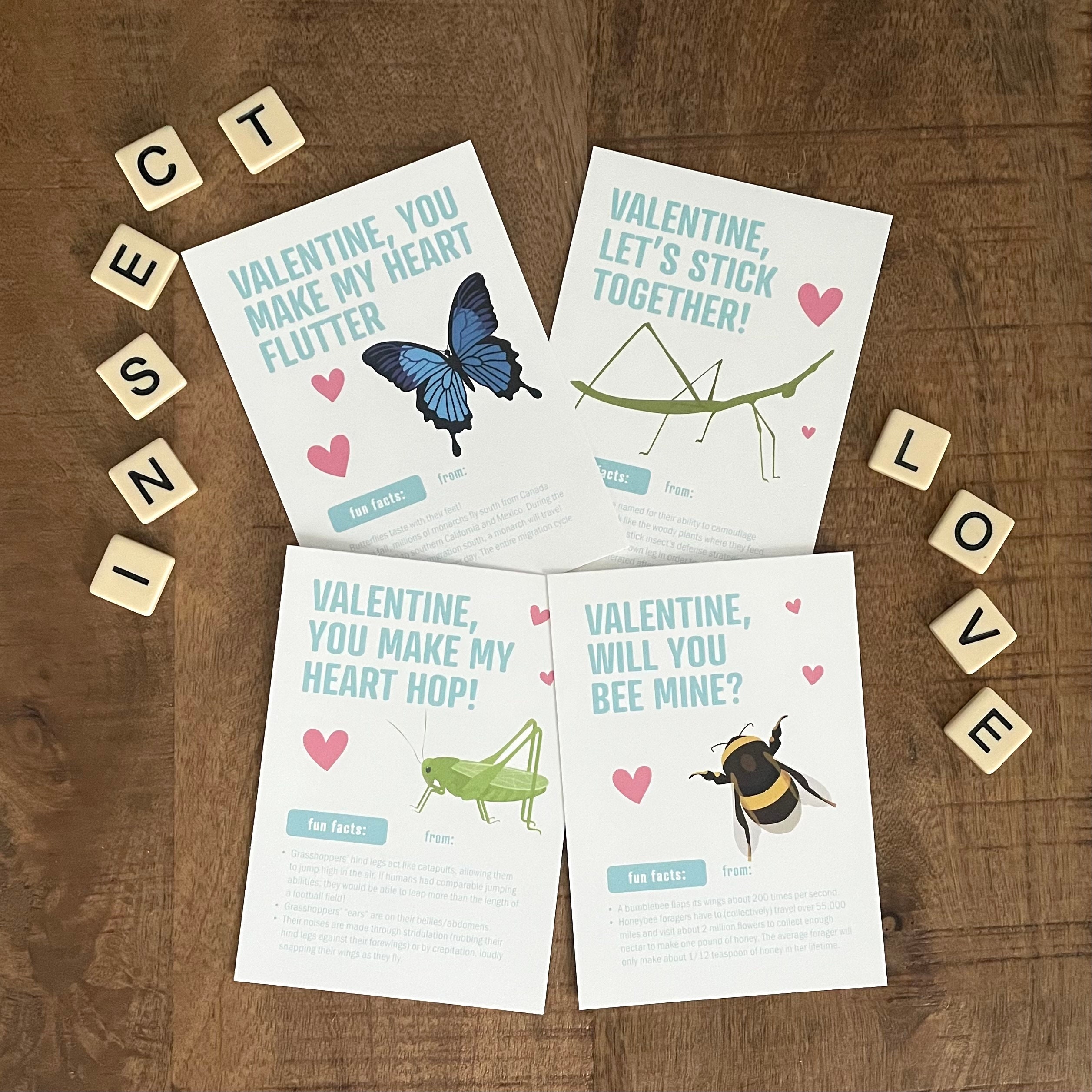 Printed INSECT Valentine's Day Cards collection 1 . SET OF 12 . Kids ...